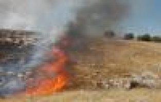 Adıyaman’da orman yangını büyüyor