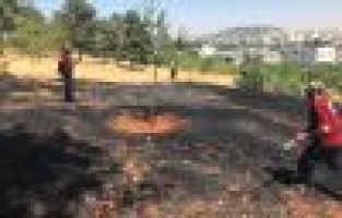 Adıyaman’da orman yangını