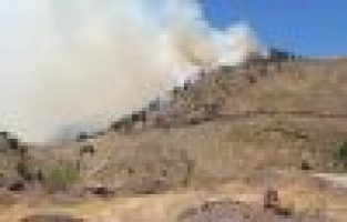  Adıyaman’da orman yangını