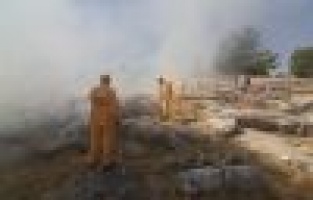 Adıyaman’da orman yangını