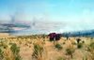 Adıyaman'da, Orman Yangını