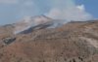 Adıyaman'da Orman Yangını