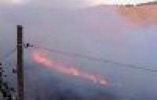 Adıyaman'da Orman Yangını