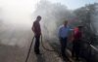 Adıyaman’da, orman yangını