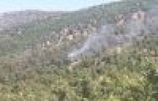 Adıyaman’da orman yangını