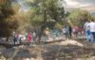 Adıyaman’da, orman yangını kontrol altına alındı