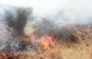 Adıyaman’da, orman yangını korkuttu