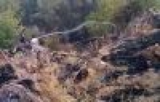 Adıyaman'da orman yangını korkuttu