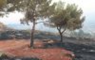 Adıyaman'da orman yangını söndürüldü