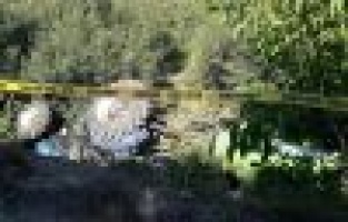 Adıyaman’da traktör devrildi: 1 ölü