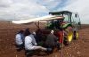 Adıyaman’da tütün ekimi başladı