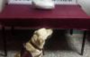 Adıyaman’da uyuşturucu madde ele geçirildi