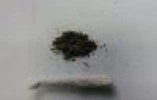 Adıyaman'da uyuşturucu operasyonu