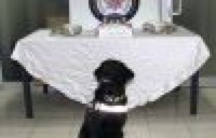 Adıyaman'da uyuşturucu satıcılarının belleri kırıldı