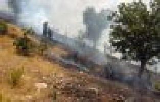 Adıyaman'da yangın