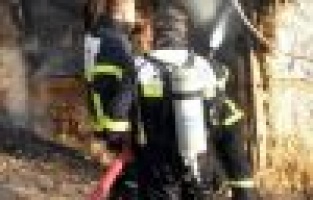 Adıyaman'da Yangında Hayvanlar Telef Oldu