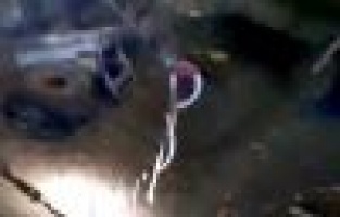 Adıyaman’da yılan avı