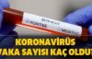 Adıyaman’daki korona vaka sayısı