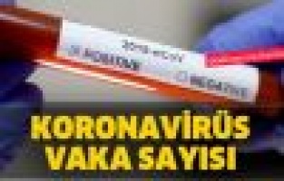 Adıyaman'ın Korona Virüs Vaka Sayısı