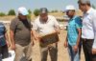 Adıyaman’ın yerli arıları tanımlanıyor
