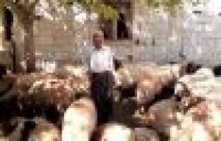 Adıyamanlı çobandan Cumhurbaşkanına çağrı