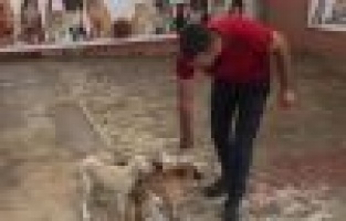 Adıyamanlı vatandaştan örnek davranış