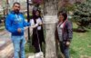 Ağaçlar Rengarenk Olacak