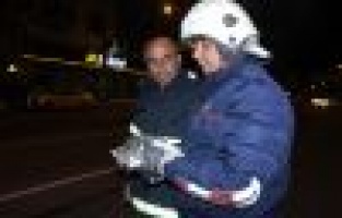 Ağaçta mahsur kalan kediyi itfaiye ekipleri kurtardı