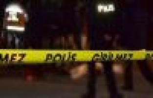 Ağaçtan düşen kadın yaralandı