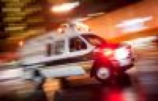 Ağaçtan düşen şahıs yaralandı