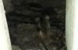 Ahırda çıkan yangın eve sıçradı