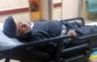 AKIMA KAPILAN EŞEK TELEF OLDU, SAHİBİ YARALANDI