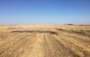 Anız yakanlar jandarmadan kaçamıyor