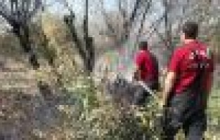 Anız yangını bahçeye sıçradı