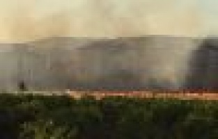 Anız yangını korkuttu