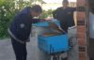 Arıları çıplak elle topladı