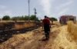 Arpa tarlasında yangın