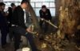 Asırlık Çınar Yanmaktan Son Anda Kurtarıldı