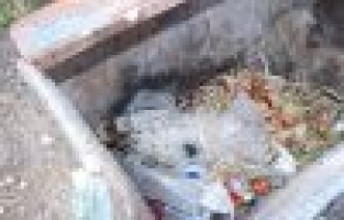 At eti satan işyeri kapatıldı