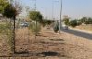 Atatürk Bulvarı, Adıyaman’ın vitrini olmaya devam edecek