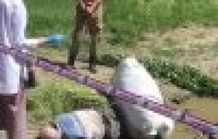 Attan düşen yaşlı adam öldü