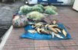 Av yasağına uymayan 24 kişi yakaladı