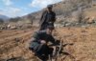 Bağ budama dönemi başladı