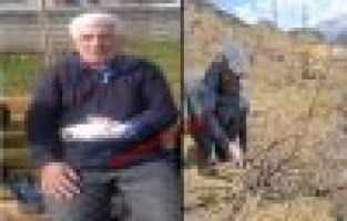 Bağ Budayan Şahıs Parmaklarını Kesti