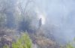 Bahçe yangını korkuttu