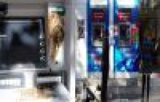 Bankaların ATM’lerine İnsan Dışkısı Sürüldü