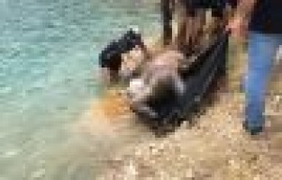 Barajda beline taş bağlanmış erkek cesedi bulundu