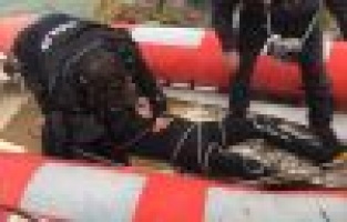 Barajda boğulan dalgıç sudan çıkarıldı 