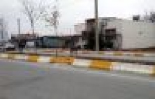 Başıboş Hayvan, Sürücülere Zor Anlar Yaşattı