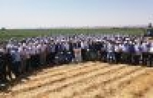 Başkan Şahan’dan pamuk açıklaması